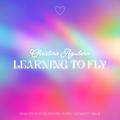 Learning To Fly