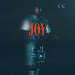 Joy