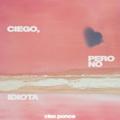 Ciego, Pero No Idiota