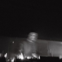 Meaner Than a Junkyard Dog