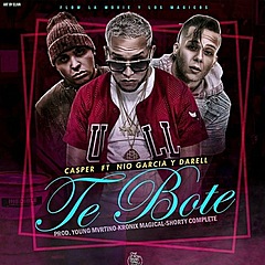 Te Bote