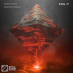 Feel It