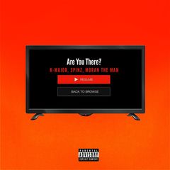 Are You There