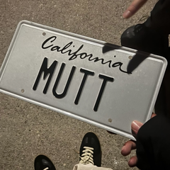 Mutt