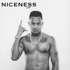 Niceness